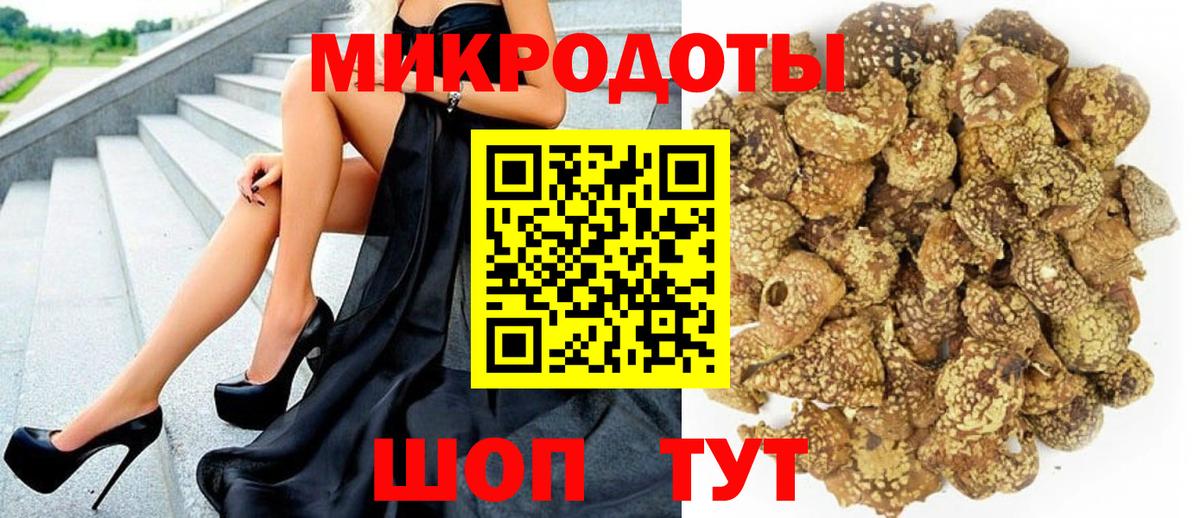 купить   Вход с VPN  Городец  Галлюциногенные грибы Cubensis 