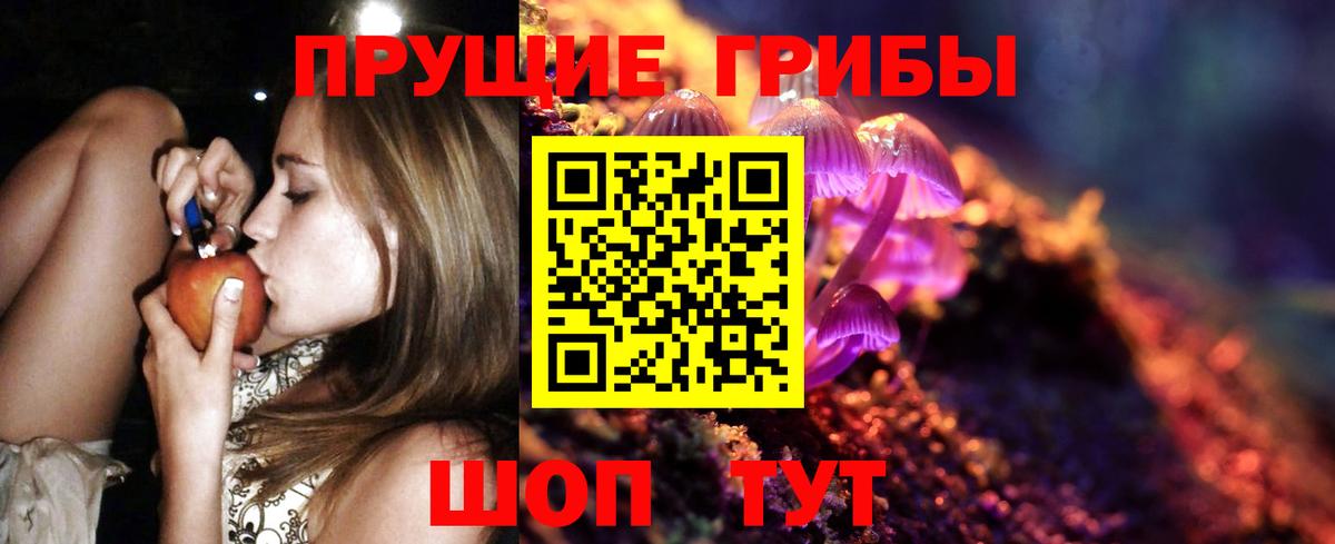 Псилоцибиновые грибы Psilocybe Городец